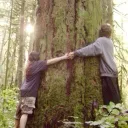 * ꒰ treehuggers.org ๑˙