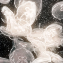 𝜗𝜚 . e l y s i u m Discord server icon