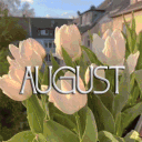 . August . 🦋 . || Social • Gaming • Hangout • Active Vc • Chill • gws & Events