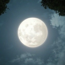 Crescent Art