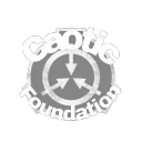 CaoticFoundation
