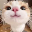 あいうえお