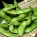 Beans cult