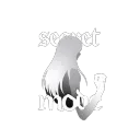 Secret mode
