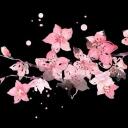 •.° - + ̊ʚ cranberries ɞ ̊+ - °.• Discord Server Icon