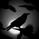 Night Raven