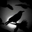 Night Raven Discord Server Icon