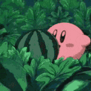 ˚₊‧꒰ა Watermeloni 🍉 ໒꒱ ‧₊˚ Discord server icon