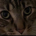 GoFundMe Sharing Discord server icon