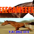 HORSEEEEE