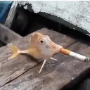 Magic Fuckers