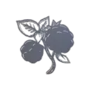 Raspberrie Roblox Magazine