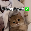 Unemployment Crew Discord Server