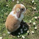  Support Corner  Discord Server Icon