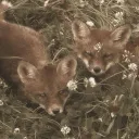 🪴☆ Support Corner! ☆🪴 discord icon