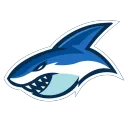 Snobby Sharks