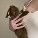 ﹒𐑂              ꕮ  @  tender   ᐟᐟ