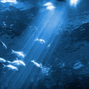 ✦.— 𝖠𝗍ᥣɑ𐓣𝗍ꪱᜒɕ —.✦ Discord server icon