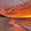 𝚃𝚑𝚎 𝚜𝚞𝚗𝚗𝚢 𝚜𝚙𝚘𝚝☀🍂 Discord server icon