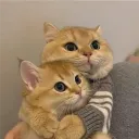 CHAT