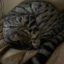 ちゃみー鯖