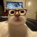 Cute Catz Club [CATZ TAG]