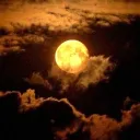 ‧₊ ᵎ🌙ᵎ House Of The Autumn Moon݁.🍂₊ ⊹