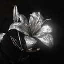 vein