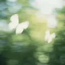 / ꪑochi server icon