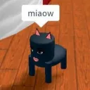 gay