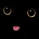 ⋆.˚✮ 𝓓𝖊𝖓𝖊𝖌𝖆𝖉𝖔𝖘 ✮˚.⋆