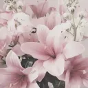 ⟢  𝐞𝐭𝐡𝐞𝐫𝐞𝐚𝐥 — open