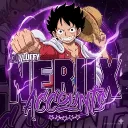 NERIX ACCOUNTS