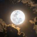 Lunar Eclipse🌕 Discord server icon