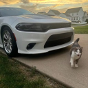 totally not a grow a garden black market Discord server icon