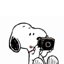 ִֶ 𐔌 amora .ᐟ Discord server icon