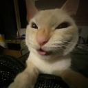 𝓢𝓲𝓵𝓵𝔂 𝓣𝓮𝓮𝓷𝓪𝓰𝓮𝓻𝓼 ☆