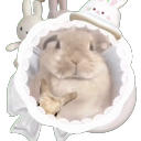 Ი𐑼              /bunnys     ୨୧     scl    gwy Discord Server Icon