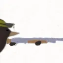 Reverse’s VR events galore