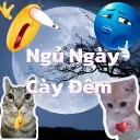 Ngủ Ngày Cày đêm