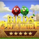 Birds Series Speedrunning