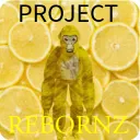 The Official Project Rebornz Server