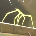 AnAveragestick🪲House