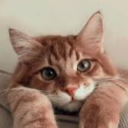 ~ TCL Hangout | Social ~