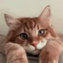 ~ TCL Hangout | Social ~ discord icon