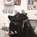 /mez  ^. .^₎Ⳋ   ݁                             ˖ discord icon