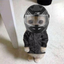 𝐓𝐇𝐑𝐎𝐓𝐓𝐋𝐄𝐇𝐎𝐔𝐒𝐄 Discord server icon