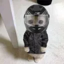𝐓𝐇𝐑𝐎𝐓𝐓𝐋𝐄𝐇𝐎𝐔𝐒𝐄