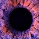 (TE) The Eye
