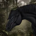 𝑨𝑹𝑴𝑬𝑫 𝑭𝑶𝑹𝑪𝑬𝑺 os